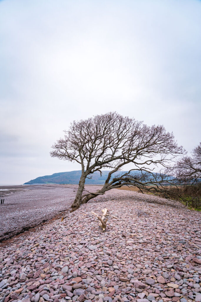 porlock weir beach