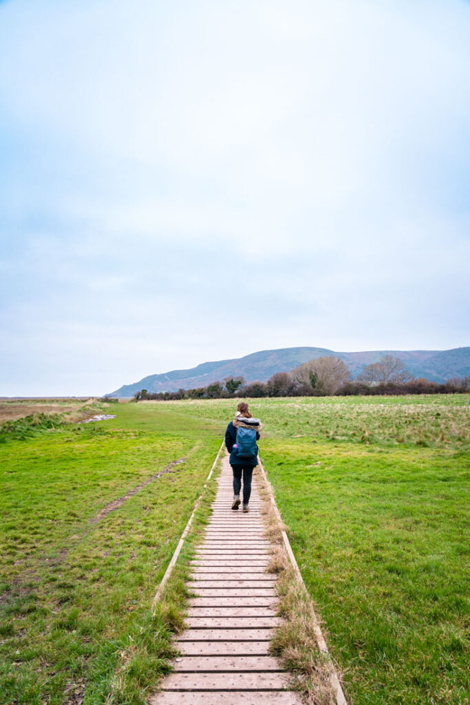 porlock weir walk