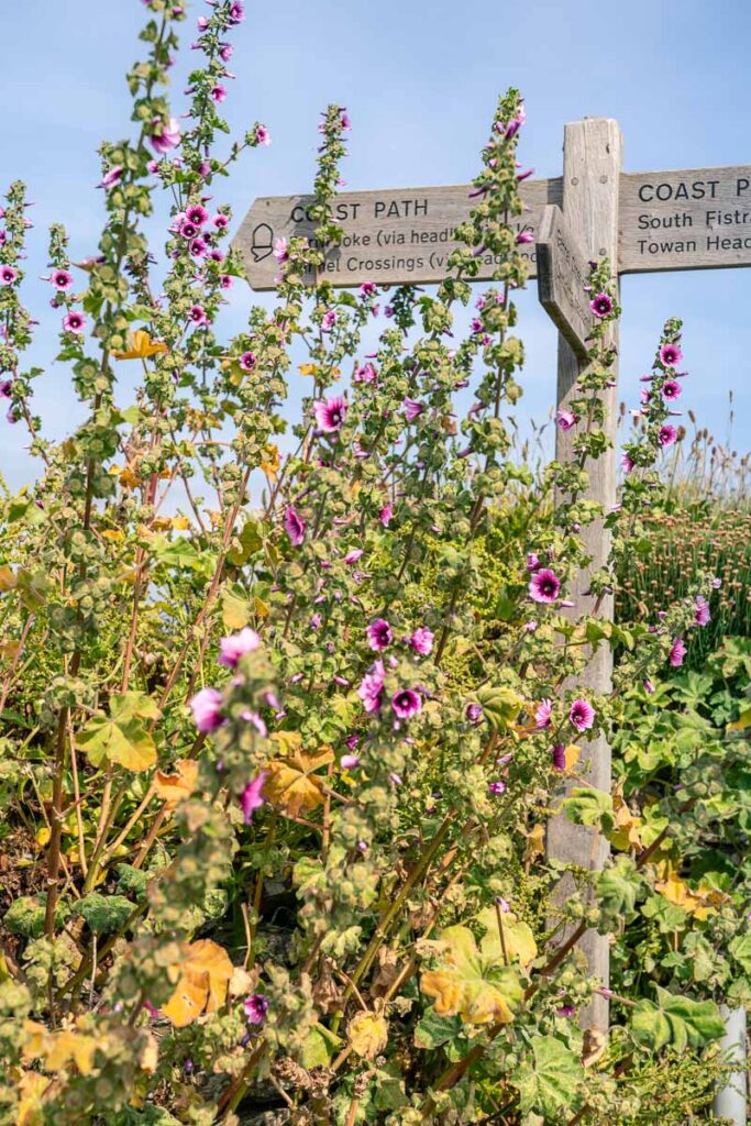coast path sign