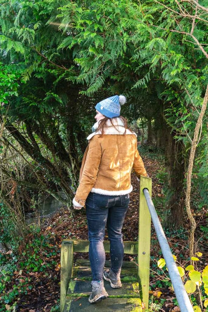 Bridge by woodland