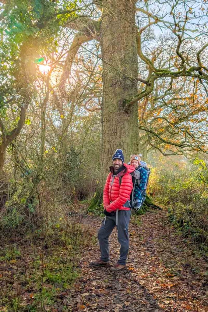 Walking through the trees