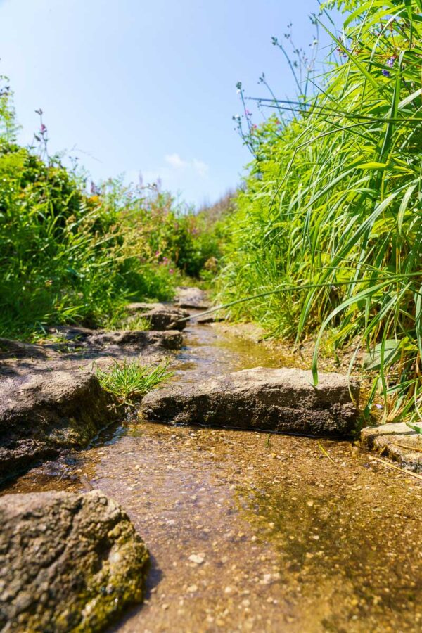 The Mousehole to Lamorna Cove Circular Walk, Cornwall