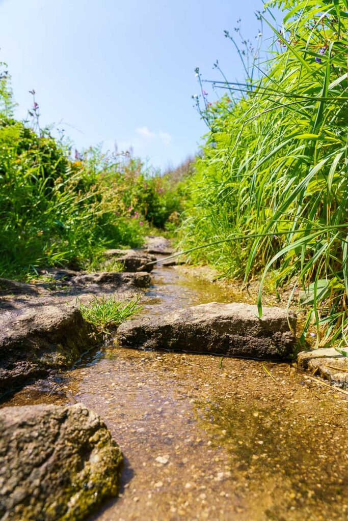 stream on path