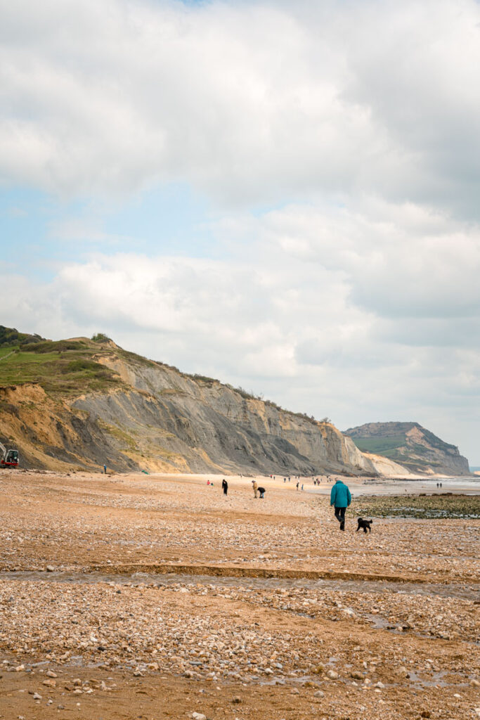 fossil hunting at charmouth beach dorset