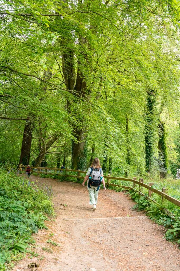 path down to penrose hill