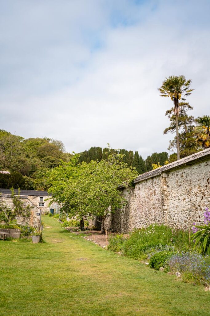 walled garden at penrose estate